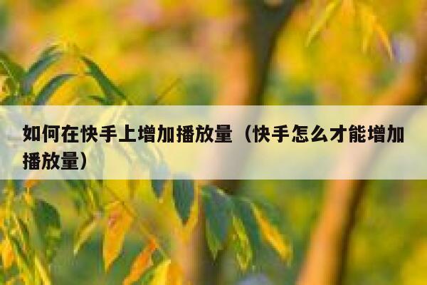 如何在快手上增加播放量（快手怎么才能增加播放量） 第1张
