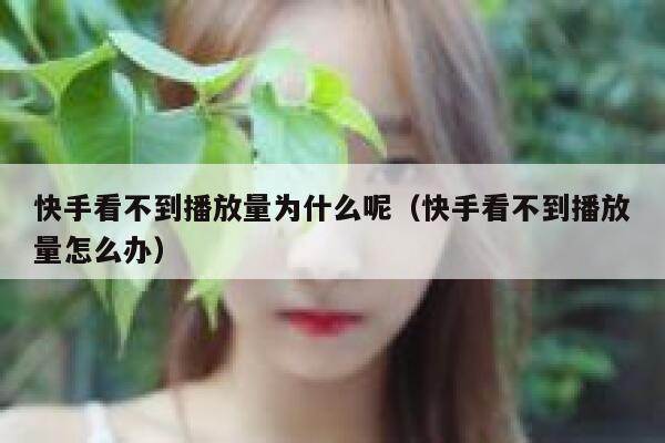 快手看不到播放量为什么呢（快手看不到播放量怎么办） 第1张