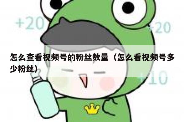 怎么查看视频号的粉丝数量（怎么看视频号多少粉丝） 第1张