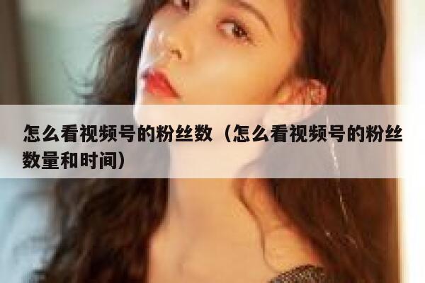 怎么看视频号的粉丝数（怎么看视频号的粉丝数量和时间） 第1张