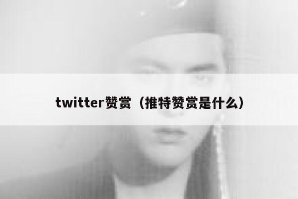 twitter赞赏（推特赞赏是什么） 第1张