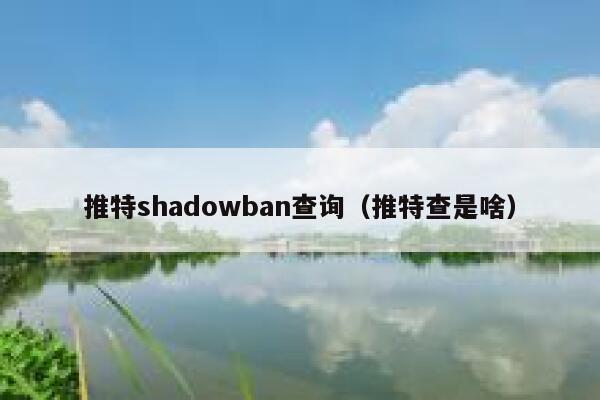 推特shadowban查询（推特查是啥） 第1张