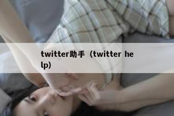 twitter助手（twitter help） 第1张