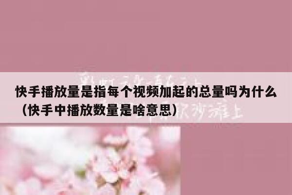 快手播放量是指每个视频加起的总量吗为什么（快手中播放数量是啥意思） 第1张