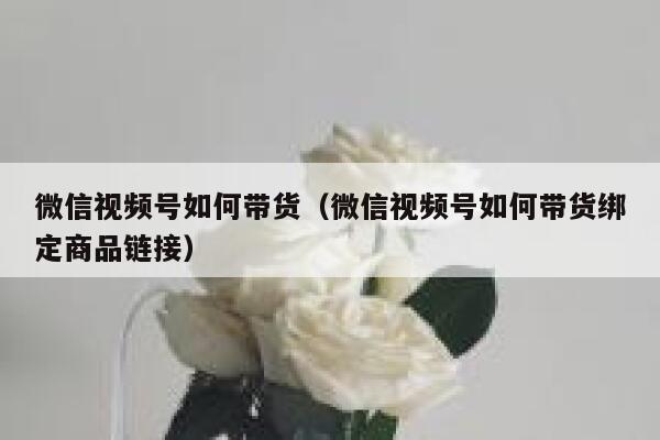 微信视频号如何带货(微信视频号如何带货绑定商品链接) 第1张 微信视频号如何带货(微信视频号如何带货绑定商品链接) 第1张