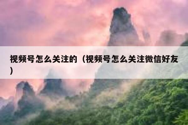 视频号怎么关注的(视频号怎么关注微信好友) 第1张 视频号怎么关注的(视频号怎么关注微信好友) 第1张