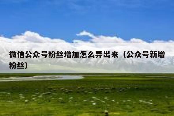 微信公众号粉丝增加怎么弄出来（公众号新增粉丝） 第1张