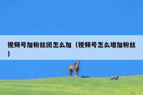 视频号加粉丝团怎么加（视频号怎么增加粉丝） 第1张