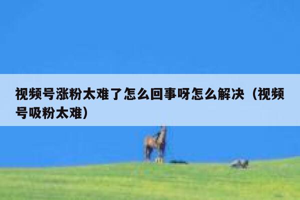 视频号涨粉太难了怎么回事呀怎么解决（视频号吸粉太难） 第1张