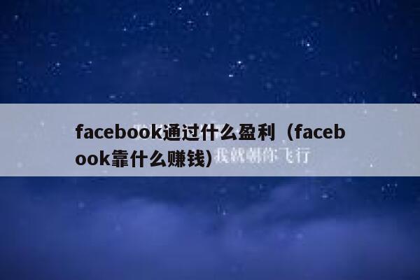 facebook通过什么盈利（facebook靠什么赚钱） 第1张