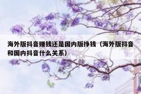 海外版抖音赚钱还是国内版挣钱（海外版抖音和国内抖音什么关系） 第1张