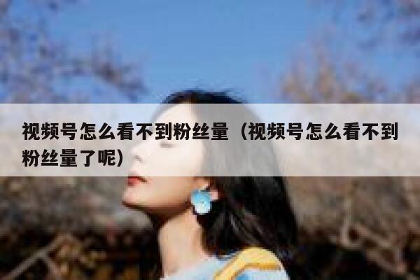 视频号怎么看不到粉丝量（视频号怎么看不到粉丝量了呢） 第1张
