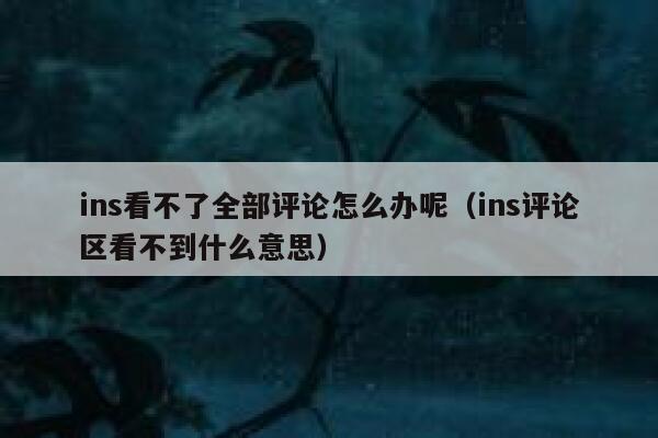 ins看不了全部评论怎么办呢（ins评论区看不到什么意思） 第1张