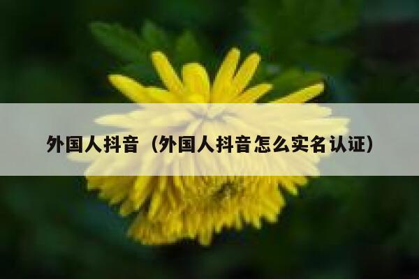 外国人抖音（外国人抖音怎么实名认证） 第1张