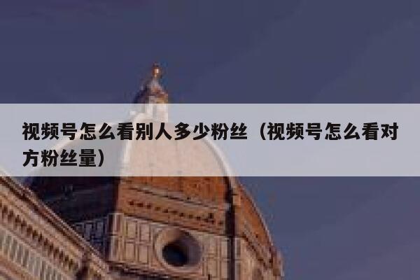 视频号怎么看别人多少粉丝（视频号怎么看对方粉丝量） 第1张