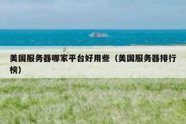 美国服务器哪家平台好用些（美国服务器排行榜） 第1张