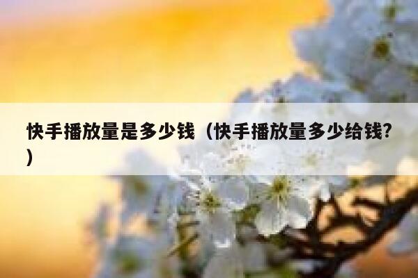 快手播放量是多少钱（快手播放量多少给钱?） 第1张