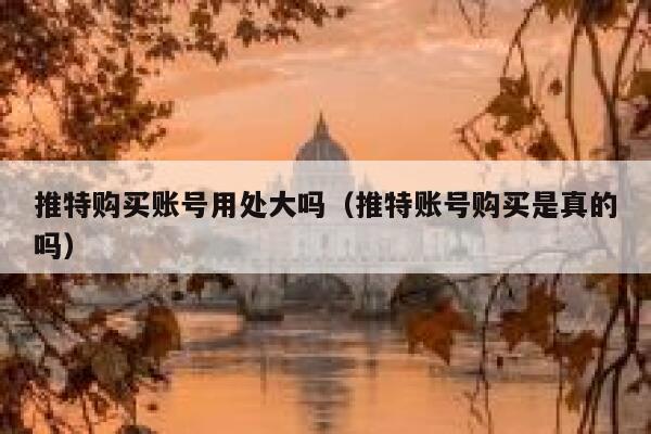 推特购买账号用处大吗（推特账号购买是真的吗） 第1张