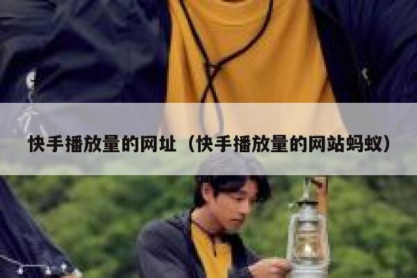 快手播放量的网址（快手播放量的网站蚂蚁） 第1张