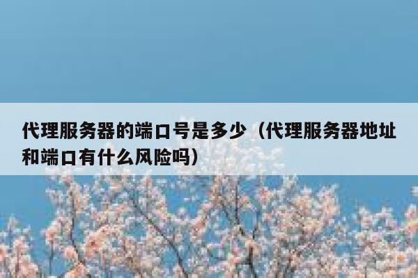 代理服务器的端口号是多少(代理服务器地址和端口有什么风险吗) 第1张 代理服务器的端口号是多少(代理服务器地址和端口有什么风险吗) 第1张