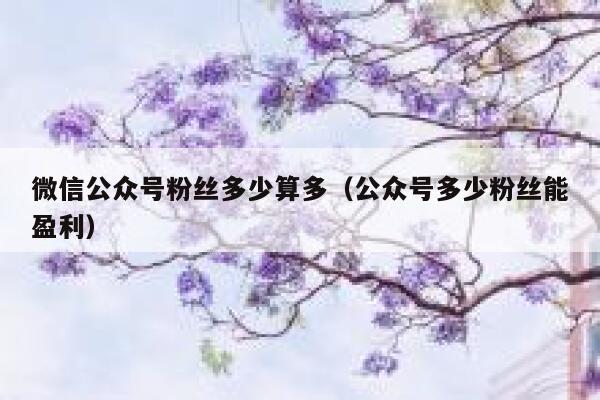 微信公众号粉丝多少算多(公众号多少粉丝能盈利) 第1张 微信公众号粉丝多少算多(公众号多少粉丝能盈利) 第1张