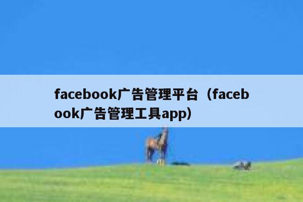 facebook广告管理平台(facebook广告管理工具app) 第1张 facebook广告管理平台(facebook广告管理工具app) 第1张