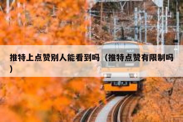 推特上点赞别人能看到吗（推特点赞有限制吗） 第1张