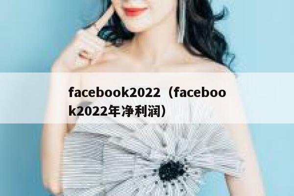 facebook2022（facebook2022年净利润） 第1张