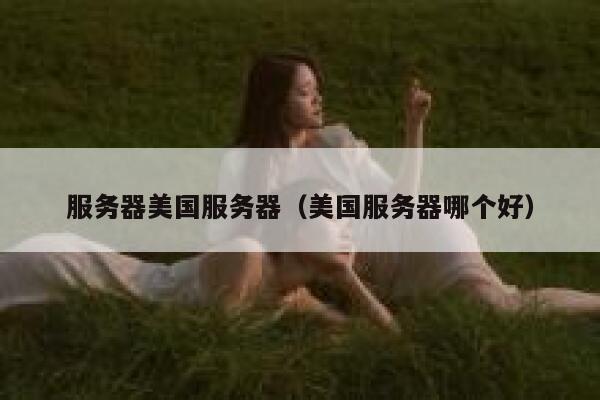 服务器美国服务器（美国服务器哪个好） 第1张