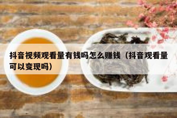 抖音视频观看量有钱吗怎么赚钱（抖音观看量可以变现吗） 第1张