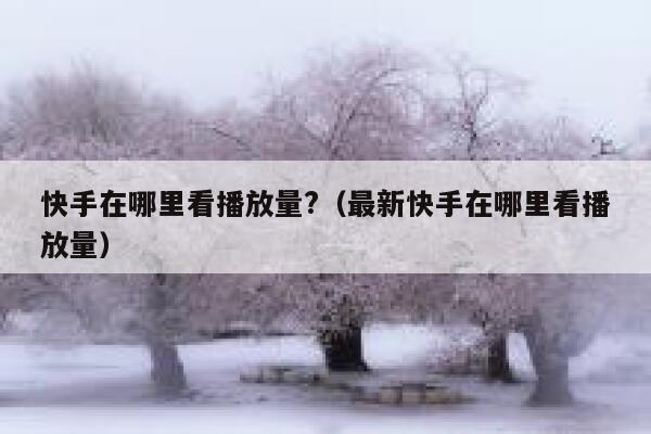 快手在哪里看播放量?（最新快手在哪里看播放量） 第1张