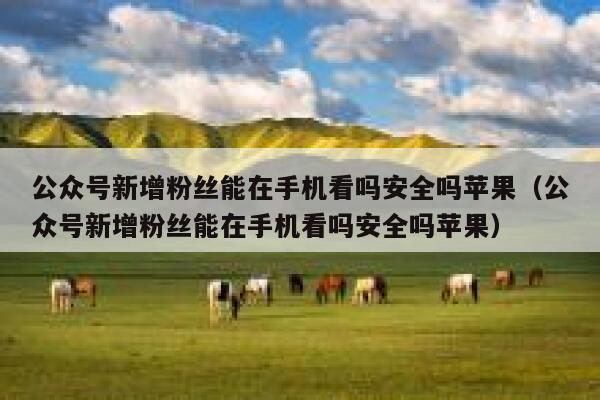 公众号新增粉丝能在手机看吗安全吗苹果（公众号新增粉丝能在手机看吗安全吗苹果） 第1张