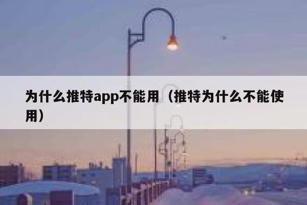 为什么推特app不能用（推特为什么不能使用） 第1张