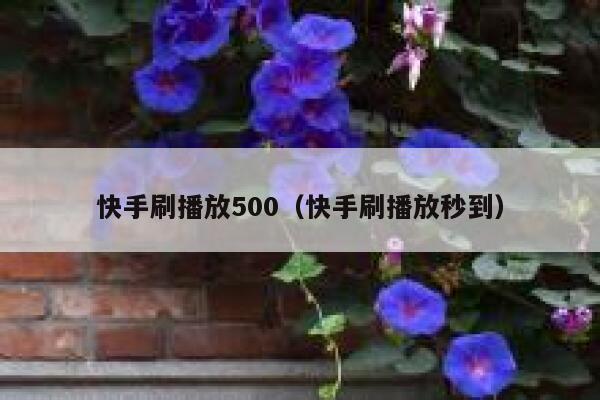 快手刷播放500（快手刷播放秒到） 第1张