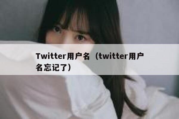 Twitter用户名（twitter用户名忘记了） 第1张