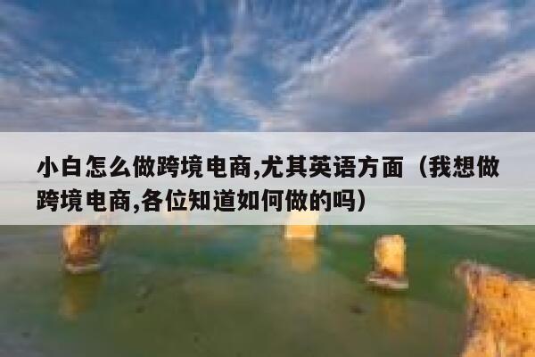 小白怎么做跨境电商,尤其英语方面（我想做跨境电商,各位知道如何做的吗） 第1张