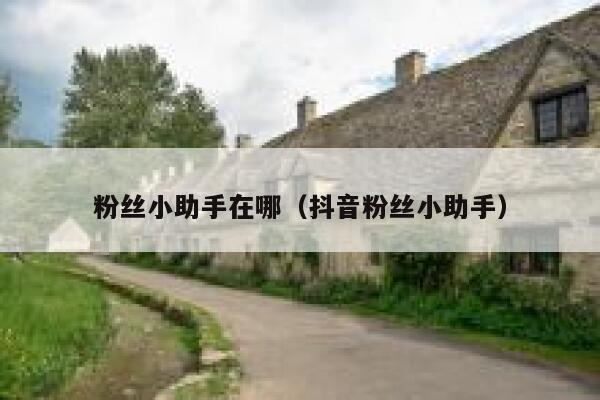粉丝小助手在哪（抖音粉丝小助手） 第1张