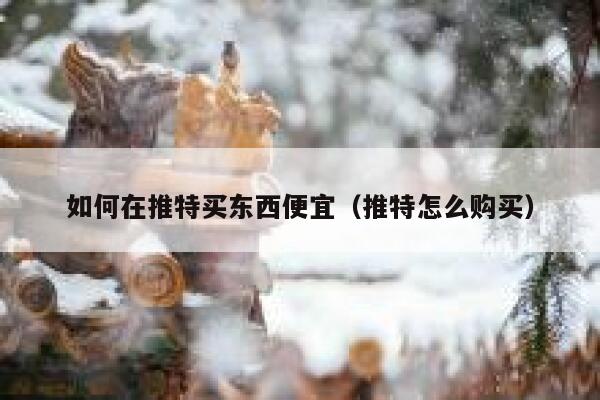 如何在推特买东西便宜（推特怎么购买） 第1张