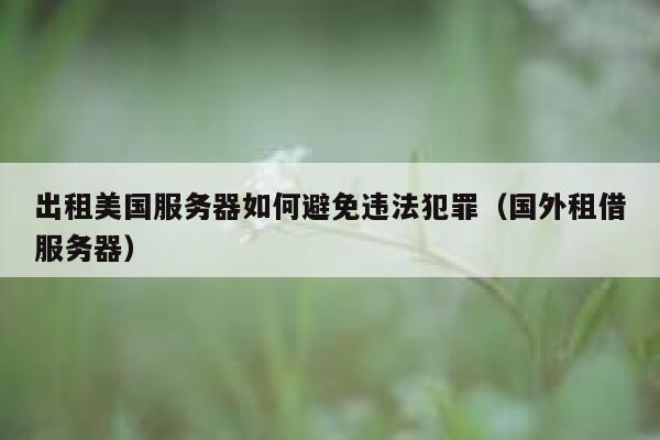 出租美国服务器如何避免违法犯罪（国外租借服务器） 第1张
