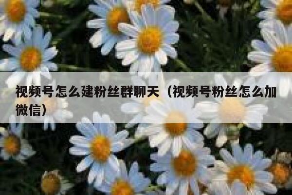 视频号怎么建粉丝群聊天（视频号粉丝怎么加微信） 第1张