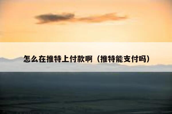 怎么在推特上付款啊（推特能支付吗） 第1张