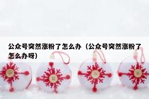 公众号突然涨粉了怎么办（公众号突然涨粉了怎么办呀） 第1张