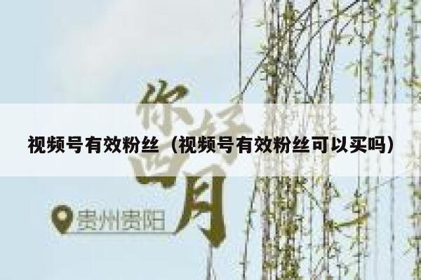 视频号有效粉丝（视频号有效粉丝可以买吗） 第1张
