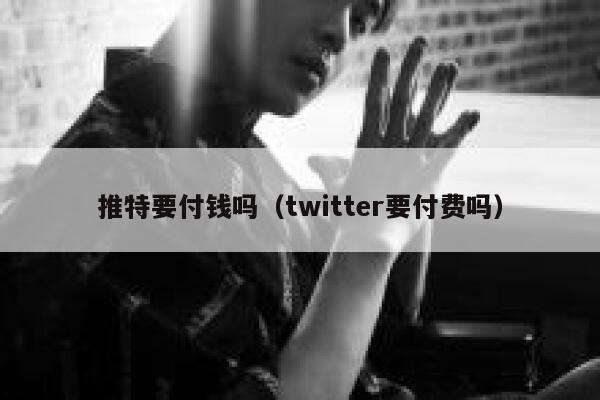 推特要付钱吗（twitter要付费吗） 第1张