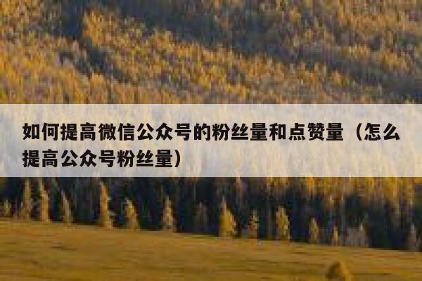 如何提高微信公众号的粉丝量和点赞量（怎么提高公众号粉丝量） 第1张