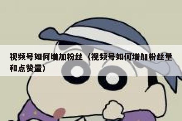 视频号如何增加粉丝(视频号如何增加粉丝量和点赞量) 第1张 视频号如何增加粉丝(视频号如何增加粉丝量和点赞量) 第1张