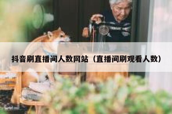 抖音刷直播间人数网站（直播间刷观看人数） 第1张