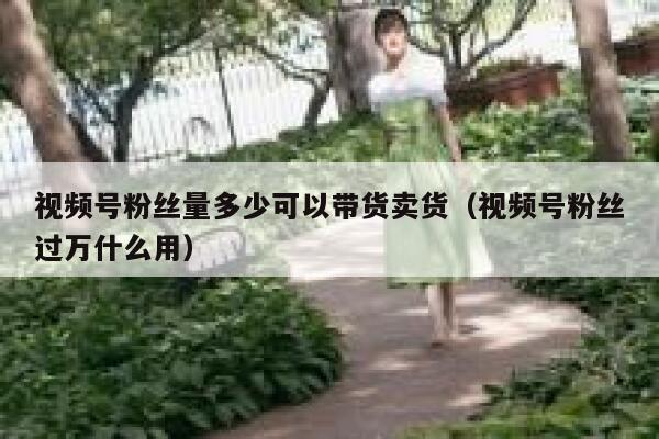 视频号粉丝量多少可以带货卖货（视频号粉丝过万什么用） 第1张