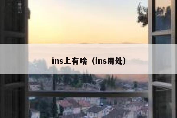 ins上有啥（ins用处） 第1张