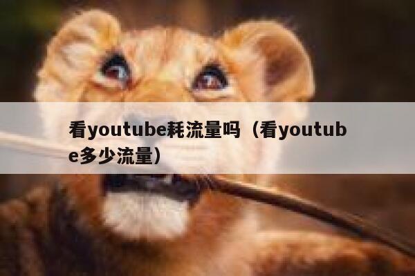 看youtube耗流量吗（看youtube多少流量） 第1张